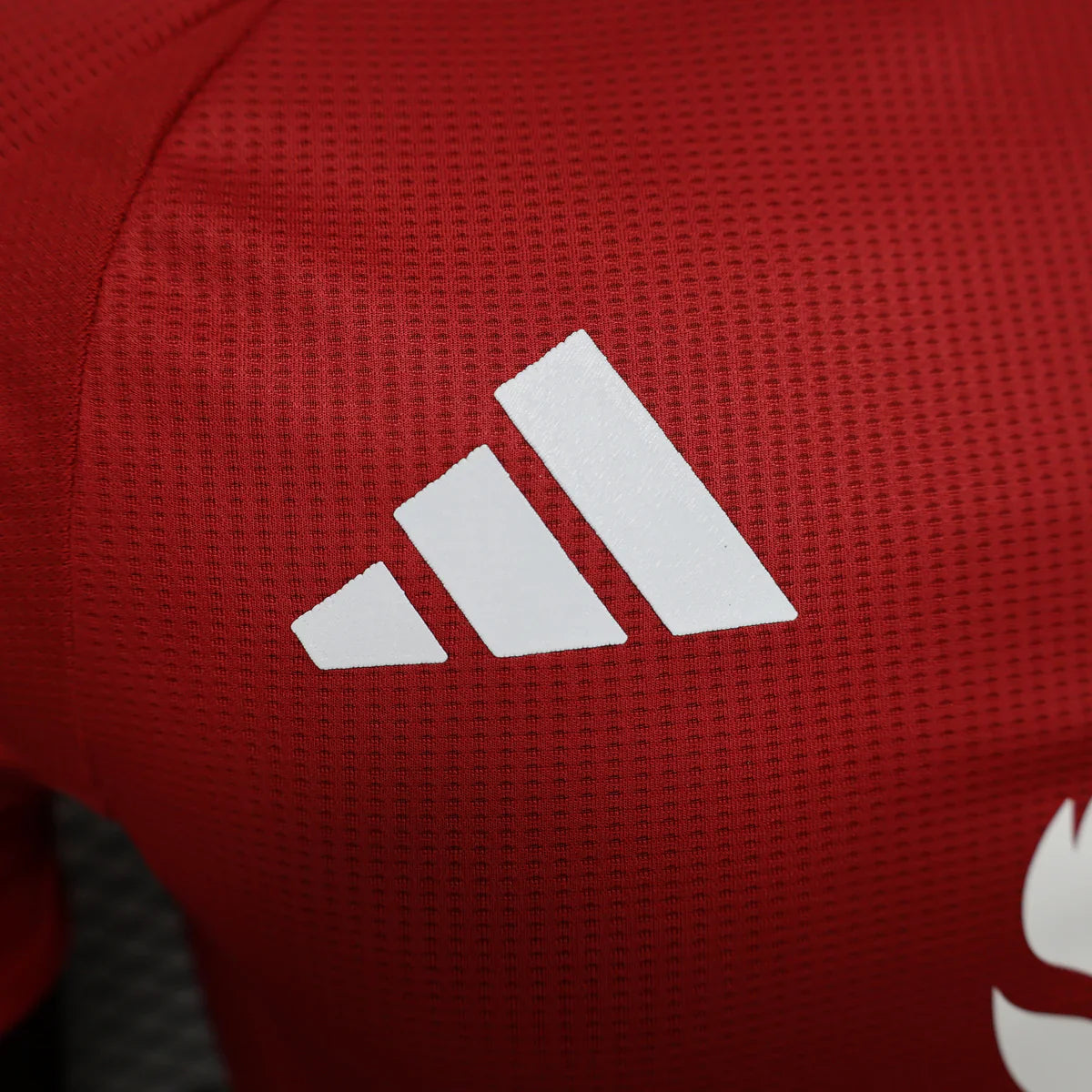 Manchester United 24-25 Home | Player Version